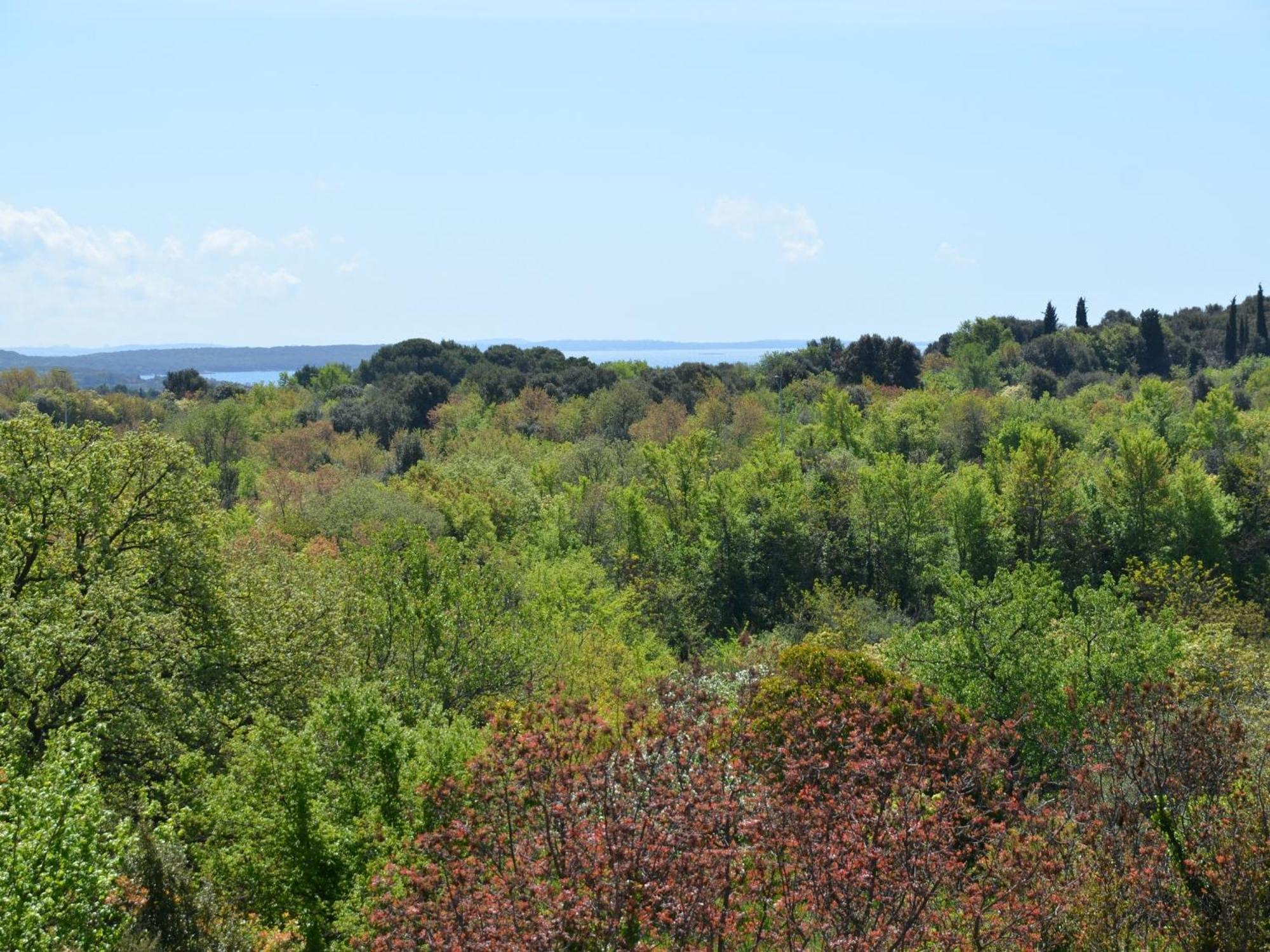 Appartement Ana Rovinj